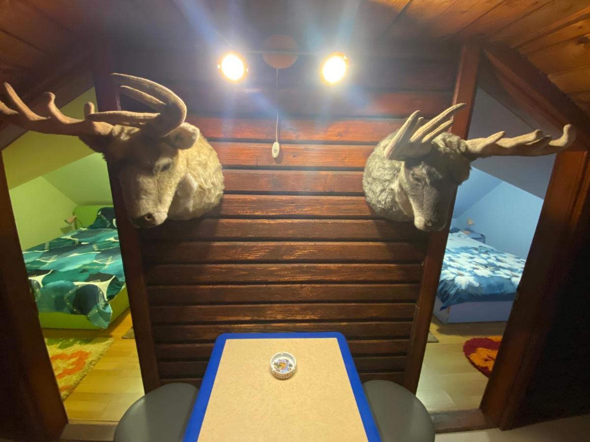 Cabana Cu Teren De Tenis -- Etaj Banita Εξωτερικό φωτογραφία
