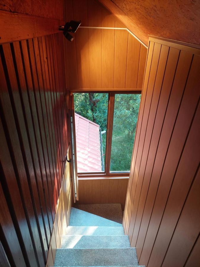 Cabana Cu Teren De Tenis -- Etaj Banita Εξωτερικό φωτογραφία
