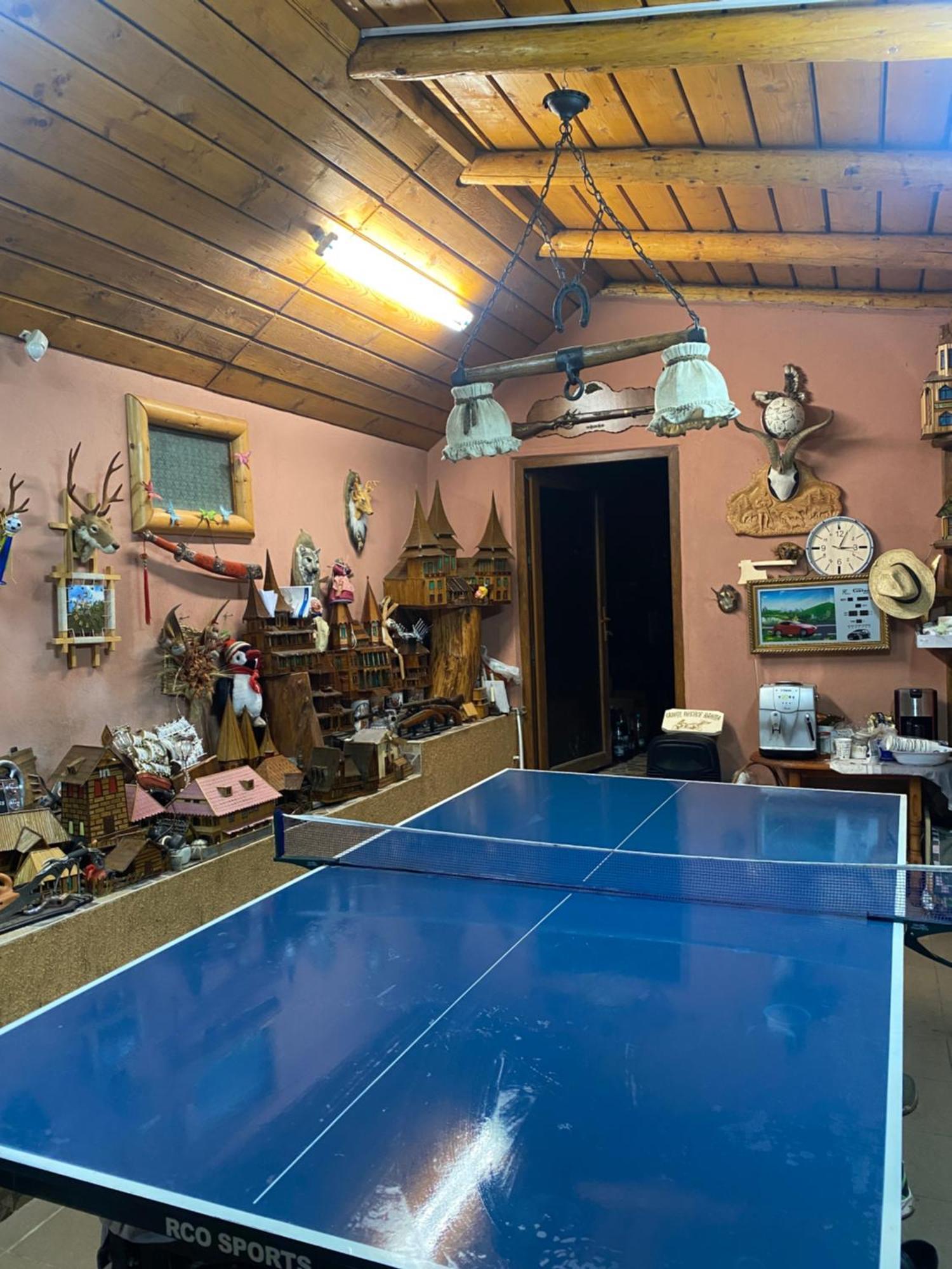 Cabana Cu Teren De Tenis -- Etaj Banita Εξωτερικό φωτογραφία