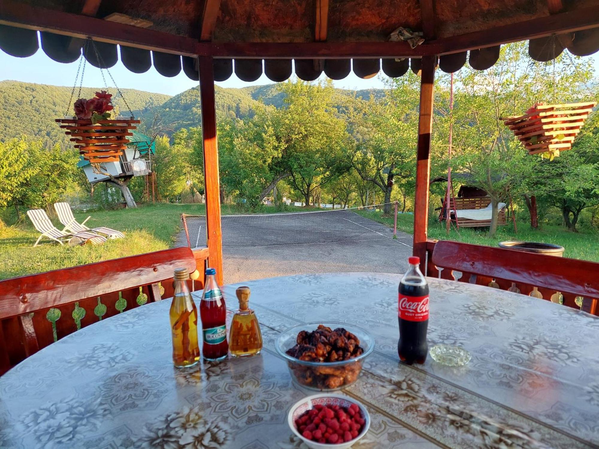 Cabana Cu Teren De Tenis -- Etaj Banita Εξωτερικό φωτογραφία
